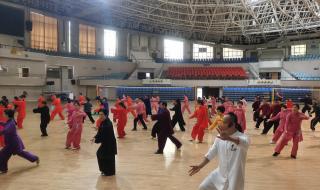 陈氏太极拳老架二路